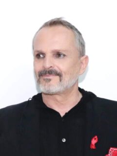 Miguel Bosé at the 2017 AIDS Gala event