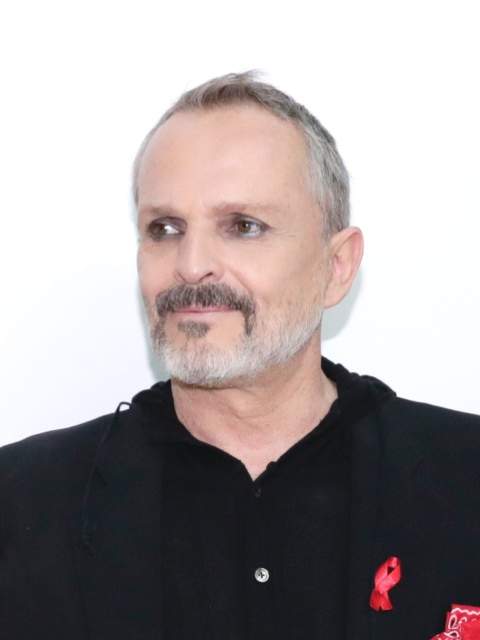 Miguel Bosé at the 2017 AIDS Gala event