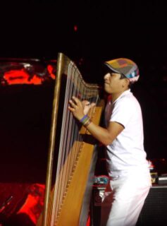 Edmar Castañeda tocando el arpa en concierto 2011